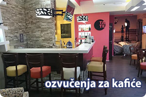 ozvucenja